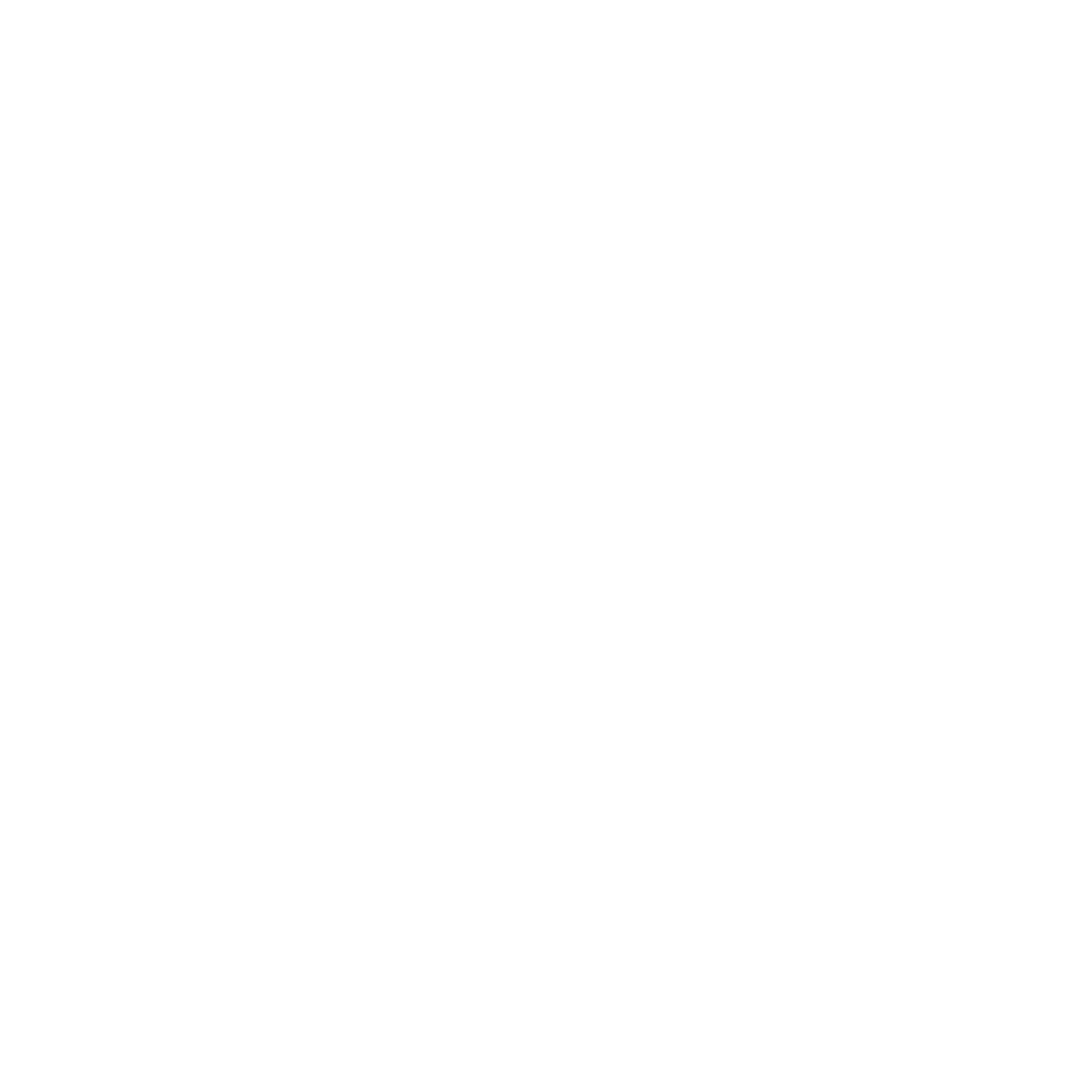 Sinergia Social Media logo